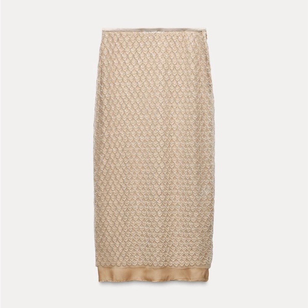 Zara NWT beaded sequined midi Skirt
